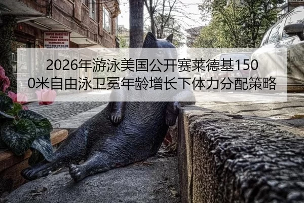 nian-you-yong-mei-guo-gong-kai-sai-lai-de-ji-mi-zi-you-yong-wei-mian-nian-ling-zeng-zhang-xia-ti-li-fen-pei-ce-lve-2-686.jpg