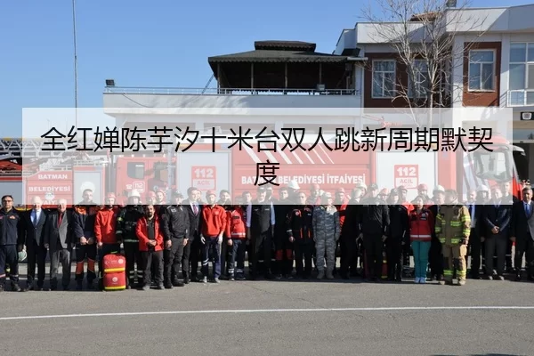 全红婵陈芋汐十米台双人跳新周期默契度
