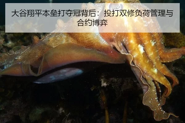 大谷翔平本垒打夺冠背后：投打双修负荷管理与合约博弈